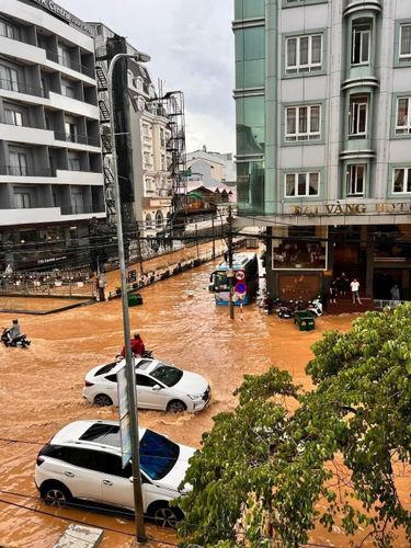 đà lạt sau trận mưa lớn: nhiều đoạn phố biến thành sông, hàng loạt cây xanh bị ngã