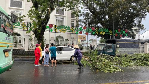 đà lạt sau trận mưa lớn: nhiều đoạn phố biến thành sông, hàng loạt cây xanh bị ngã