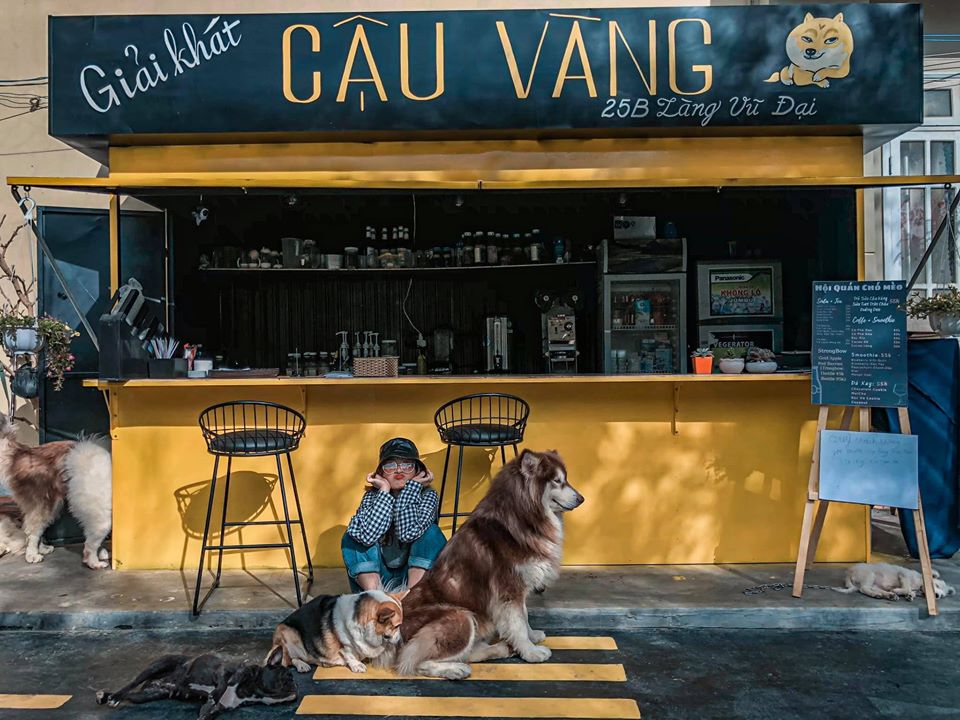 điểm danh top 15 quán cafe chó đà lạt siêu đáng yêu