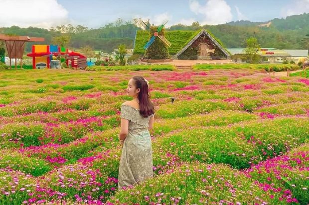 fresh garden đà lạt, khám phá, fresh garden đà lạt – tọa độ check-in “mới toanh” dành cho tín đồ yêu đà lạt