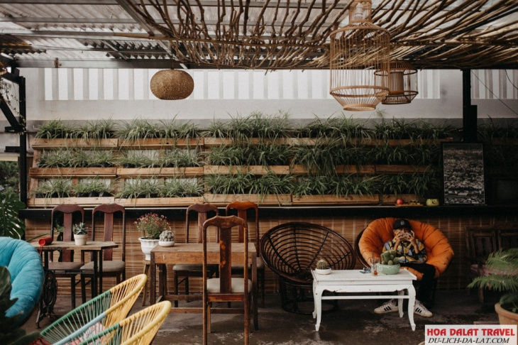 kinh nghiệm, ghé top 5 tiệm trà vintage đà lạt đẹp, check in cực thơ