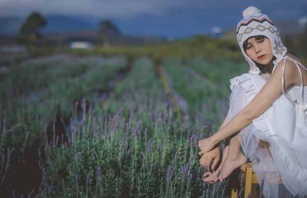 lavender đà lạt, khám phá, khám phá 2 cánh đồng hoa lavender đà lạt đẹp nhất thành phố