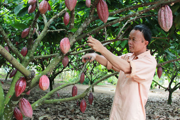 khám phá từ a-z bảo tàng socola đà lạt