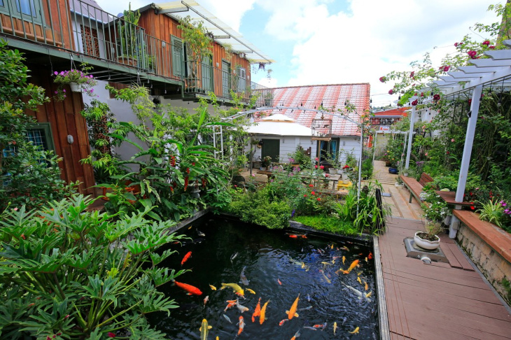 koi homestay đà lạt view hồ cá koi phong cách nhật bản