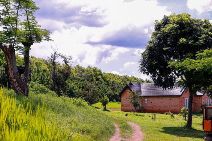 nghỉ dưỡng, review đà lạt milk farm – check-in nông trại bò sữa đầy thú vị