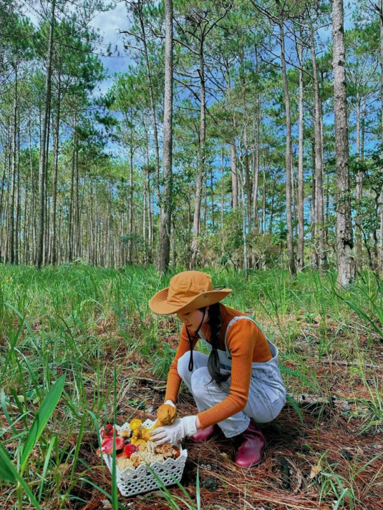 hái nấm mùa mưa ở đà lạt, khám phá, trải nghiệm, rủ nhau hái nấm mùa mưa ở đà lạt trải nghiệm thú vị và cực chill