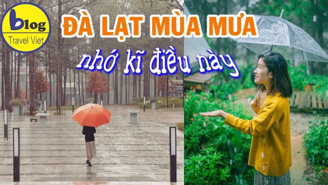 sạt lở đất nghiêm trọng ở đà lạt và kinh nghiệm du lịch mùa mưa, sạt lở đất nghiêm trọng ở đà lạt và kinh nghiệm du lịch mùa mưa