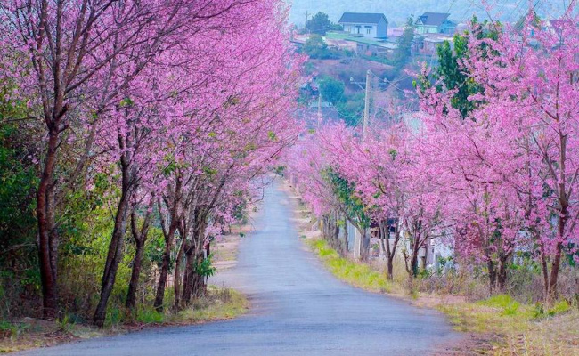 sạt lở đất nghiêm trọng ở đà lạt và kinh nghiệm du lịch mùa mưa, sạt lở đất nghiêm trọng ở đà lạt và kinh nghiệm du lịch mùa mưa