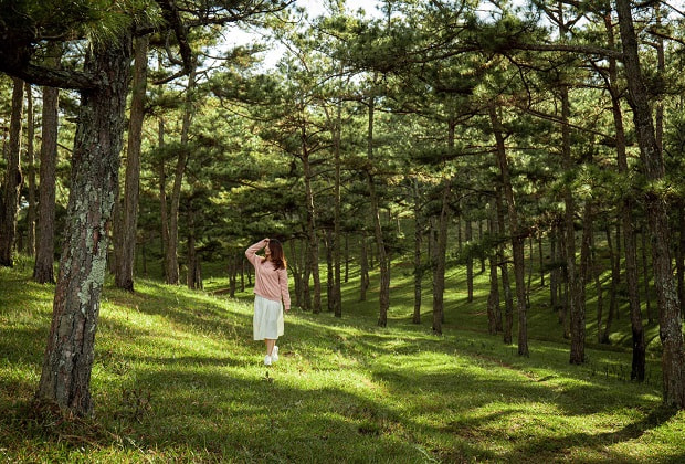 thung lũng tình yêu đà lạt, khám phá, thung lũng tình yêu đà lạt – điểm đến lý tưởng cho tâm hồn lãng mạn