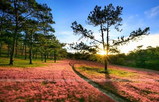 thung lũng vàng đà lạt, khám phá, thung lũng vàng đà lạt – ngao du “chốn bồng lai tiên cảnh”