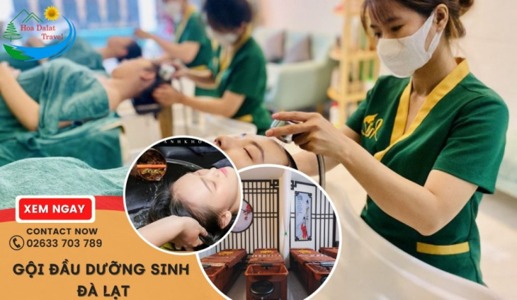 kinh nghiệm, top 6 địa chỉ gội đầu dưỡng sinh đà lạt giúp thư giãn cực đã