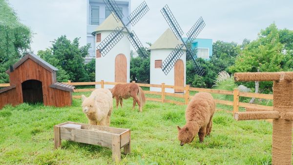 cafe đà lạt, top quán cafe phong cách đà lạt tại sài gòn