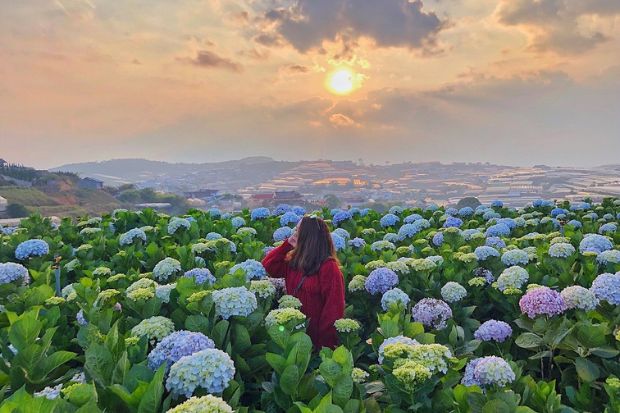 tulutula đà lạt, khám phá, tulutula đà lạt – quán cà phê với không gian xanh đầy sáng tạo